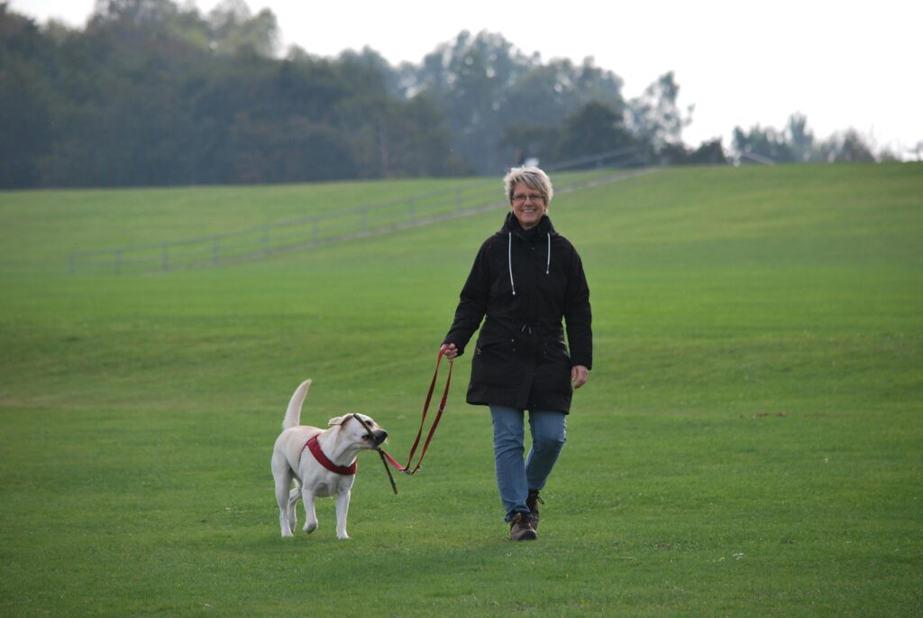 insurance for a dog walking business